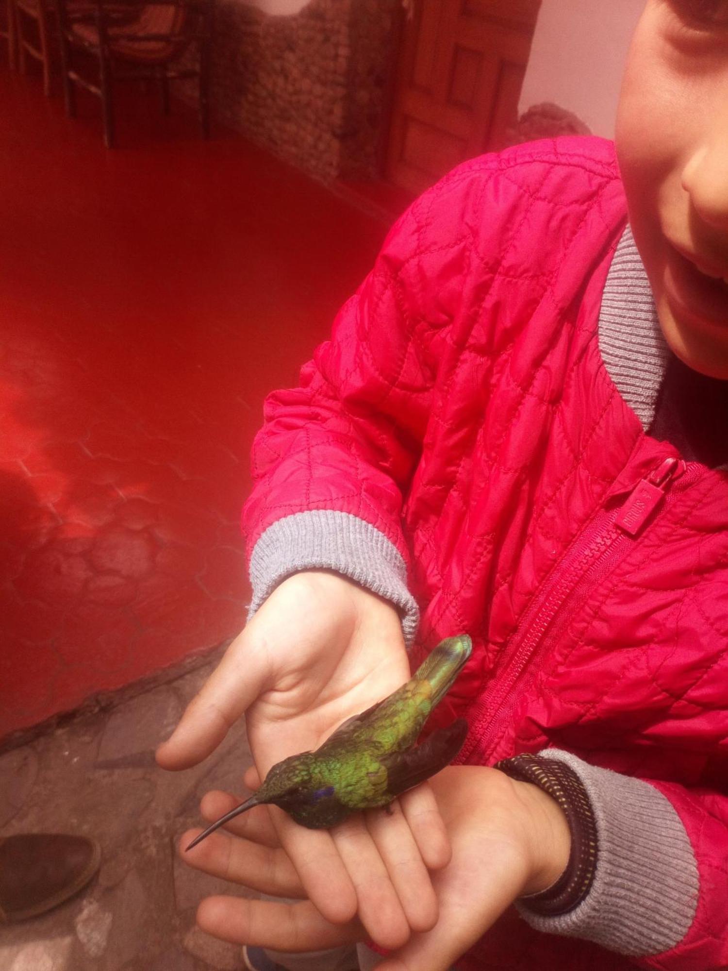 Ecolodge Ccatan Urubamba Ngoại thất bức ảnh