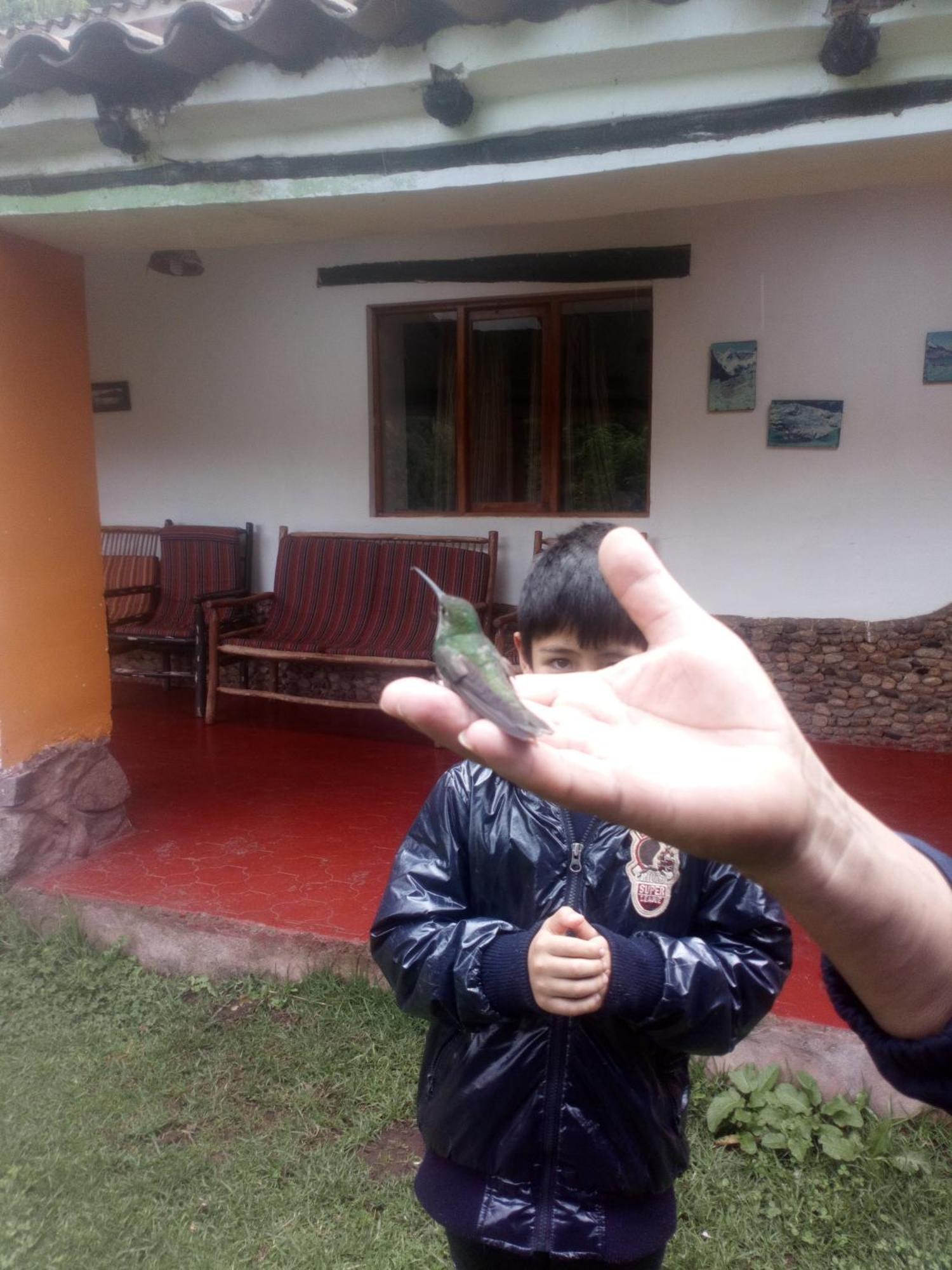 Ecolodge Ccatan Urubamba Ngoại thất bức ảnh
