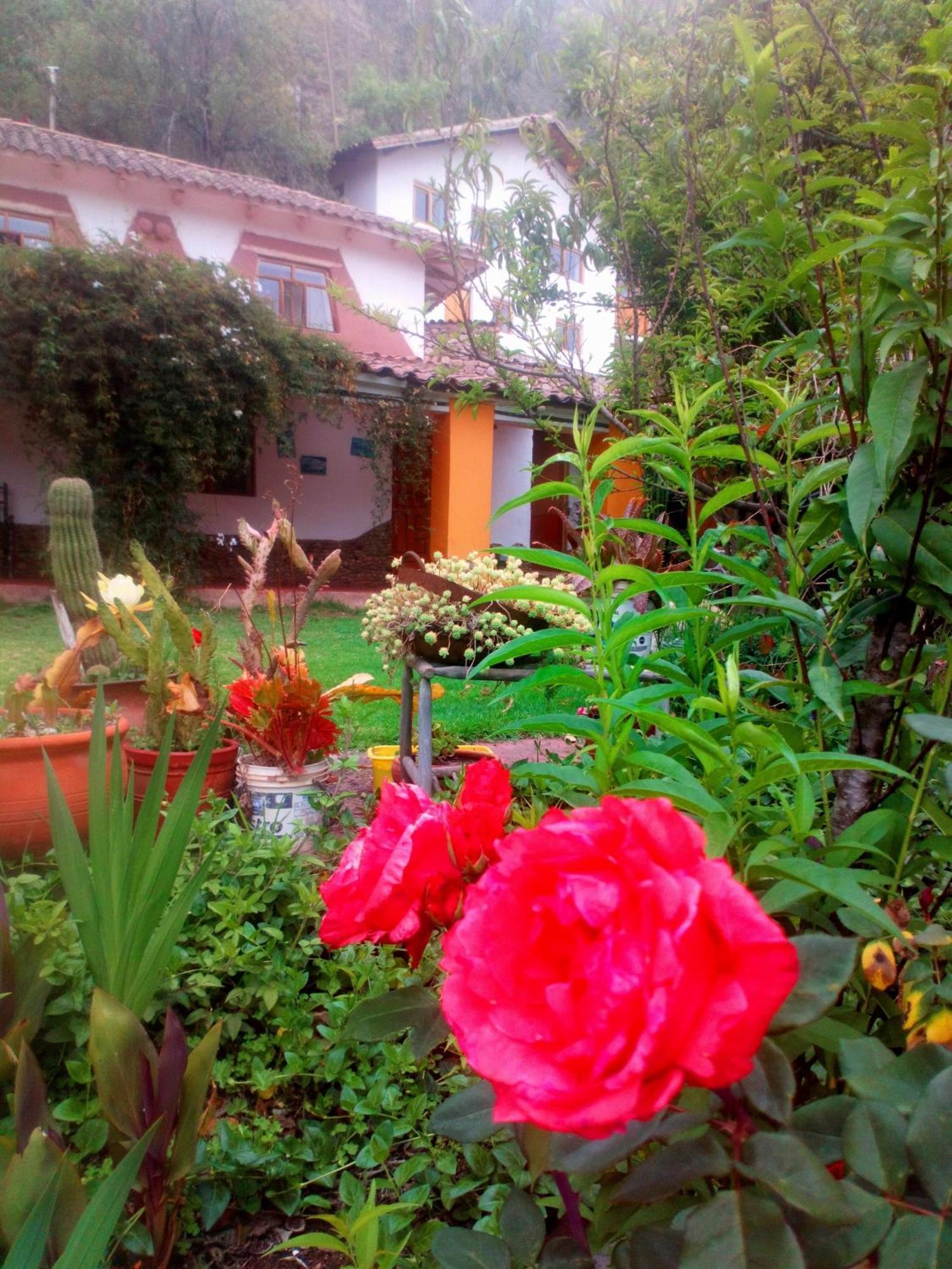 Ecolodge Ccatan Urubamba Ngoại thất bức ảnh